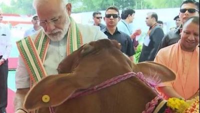 Some people are shocked on hearing 'om' or cow: PM Modi attacks opponents