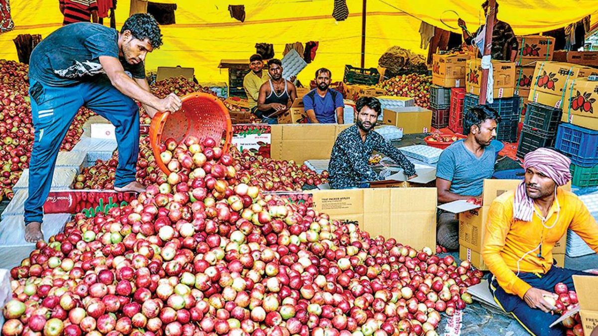 Modi government planning to uplift the apple growers of Kashmir