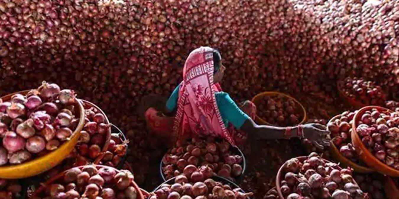 Government takes this step to lower price of onion in market