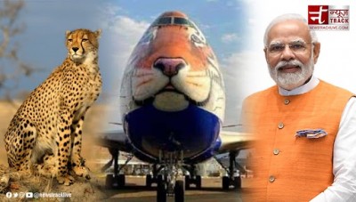 VIDEO! Cheetah reaches India after 70 years, PM Modi to give grand welcome