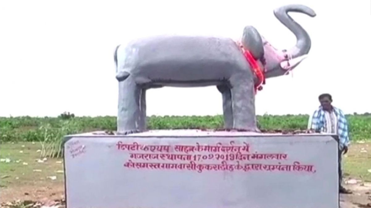 Chhattisgarh: Farmers have installed 'Gajraj' statue in their fields, know what is the reason