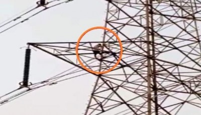 Father-in-law refused to send daughter to in-laws, angree husband climbed to high-tension tower