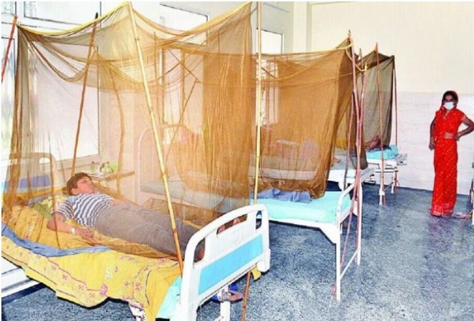 Why is dengue becoming a 'big threat' to children? Know Expert Opinions