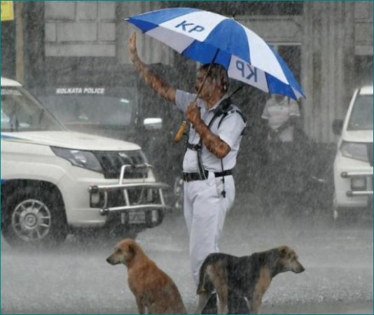 अपने छाते में पुलिस वाले ने दी कुत्तों को पनाह, लोग बोले- 'वाह महान है'