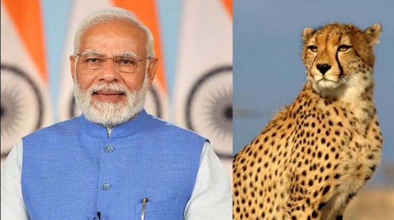 Mann Ki Baat: PM Modi seeks suggestions on naming Cheetahs