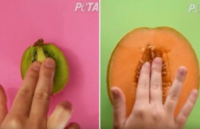 'इस तरह से कौन फल खाता है भाई ?', PETA का वीडियो देख भड़के सोशल मीडिया यूज़र्स