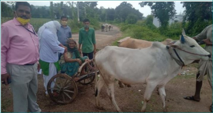 MP: 88-year-old reaches vaccination centre by bullock cart, gets vaccine