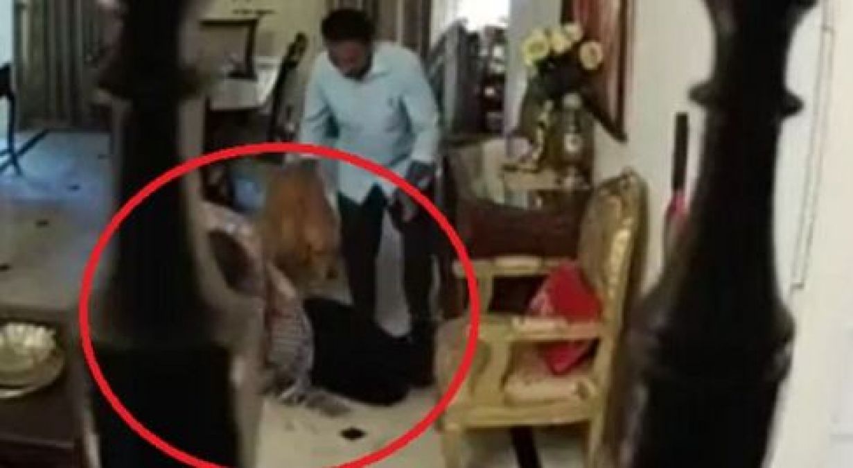 MP's DG rank officer brutally assaults wife after she catches him at another woman's house, video goes viral