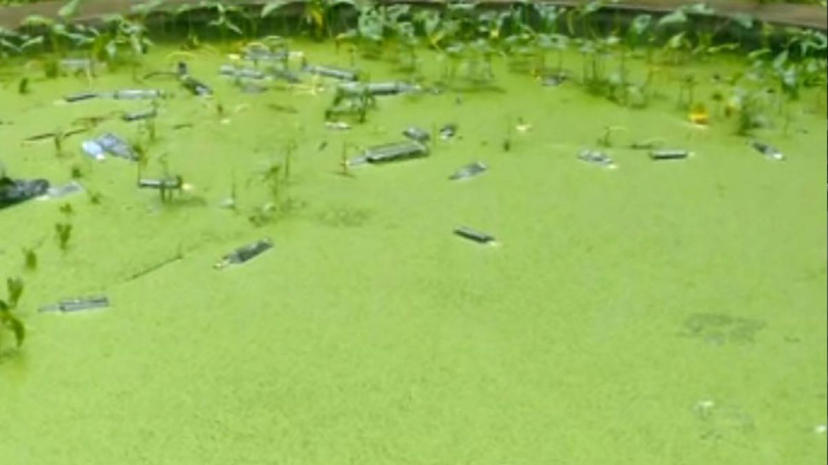 Bihar: Liquor bottles were seen floating in flood water