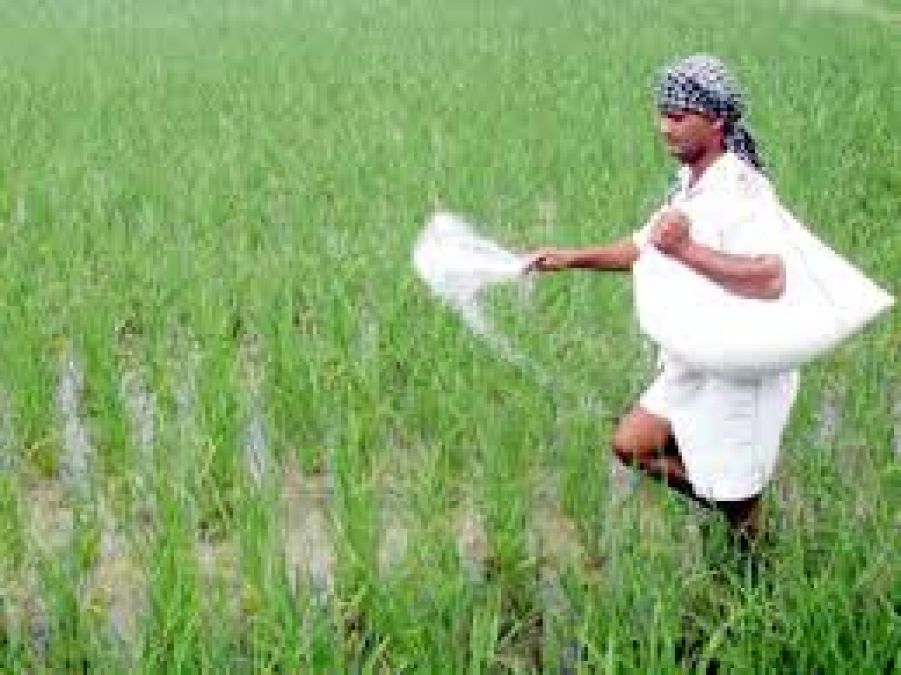 Fertilizer demand may remain high in this rabi season, Know the reason!
