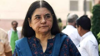 आवारा कुत्तों के लिए SC के आदेश पर मेनका गांधी ने कहा- 