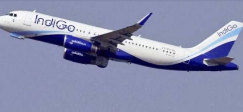 IndiGo's 'cute charge' fee sparks uproar on social media