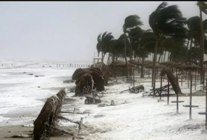 Cyclone Jawad: Heavy Rain May Occur In These Parts Of Andhra, IMD ...