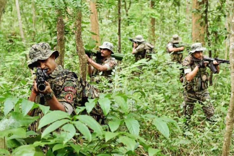 Three Maoists killed in encounter with security forces in Chhattisgarh's Kanker