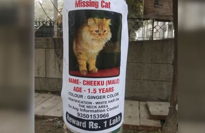 Chiku is lost... Those who bring it will get millions