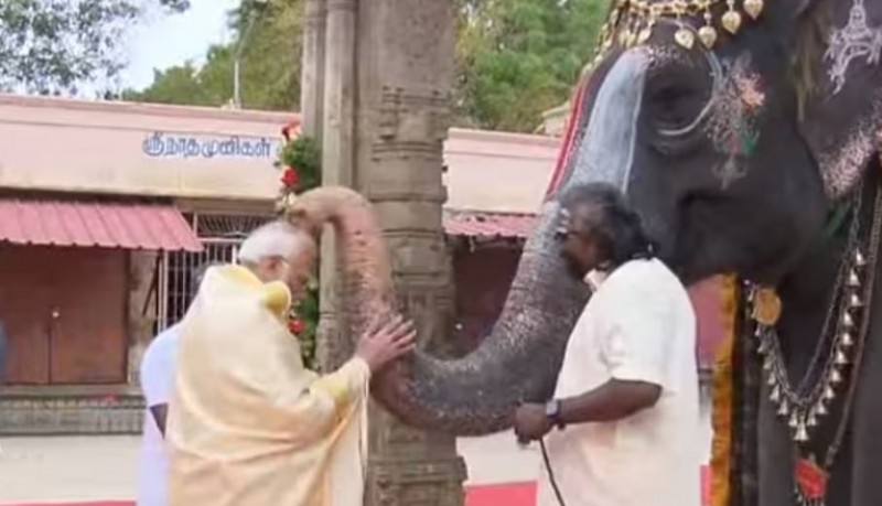 श्री रंगनाथस्वामी मंदिर पहुंचे PM मोदी, पूजन के बाद लिया 'गजराज' का आशीर्वाद