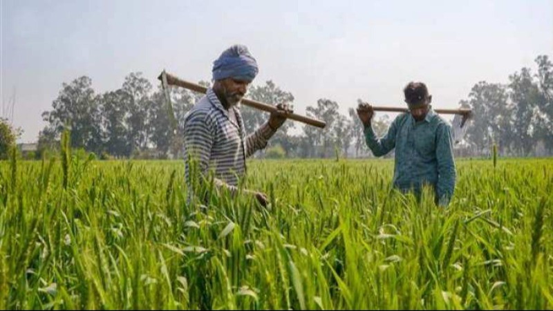 पीएम धन धान्य योजना को मिल सकती है मंजूरी, छोटे किसानों को होगा फायदा