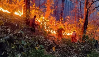अल्मोड़ा में जंगल की आग के बाद सरकार ने उठाया ये बड़ा कदम