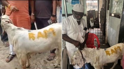 बकरीद पर काटा जाएगा 'राम' लिखा हुआ बकरा ! मुंबई पुलिस ने मीट शॉप के मालिक को दबोचा