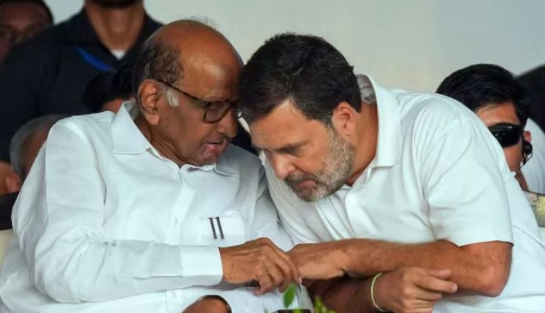 'अब राहुल गांधी को कोई पप्पु नहीं कहेगा, वे युवा पीढ़ी के प्रतिनिधि..', शरद पवार ने की कांग्रेस नेता की तारीफ