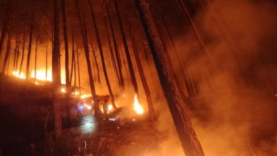 उत्तरकाशी जंगल में आग ने लिया विकराल रूप, जलकर खाक हुई लाखों की वन संपदा
