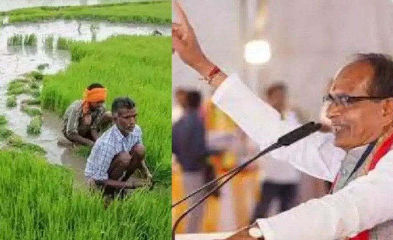 72 लाख किसानों को CM शिवराज का बड़ा तोहफा, किया ये ऐलान
