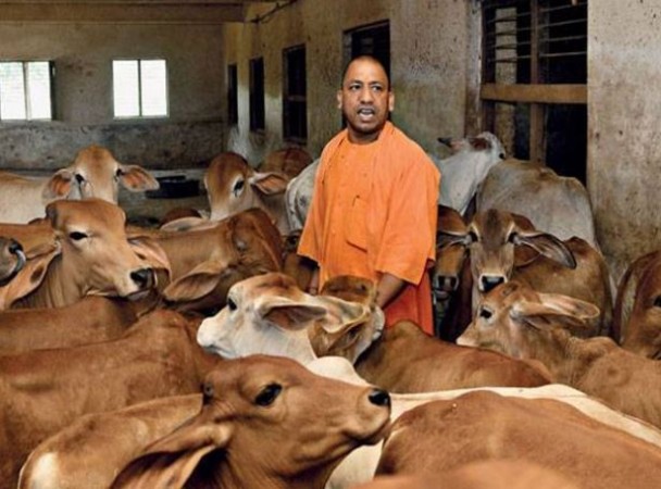 यूपी में 1,000 करोड़ की लागत से शुरू हुआ नंद बाबा दूध मिशन, किसानों को मिलेंगे ये लाभ