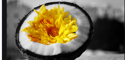 तमिल नव वर्ष: यहाँ जानिए क्या है पुथंडू और इसका महत्त्व