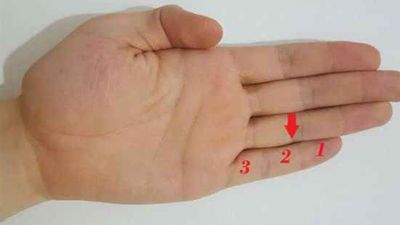 आपके हाथ की सबसे छोटी उंगुली बंया करती है जीवन के सारे राज़