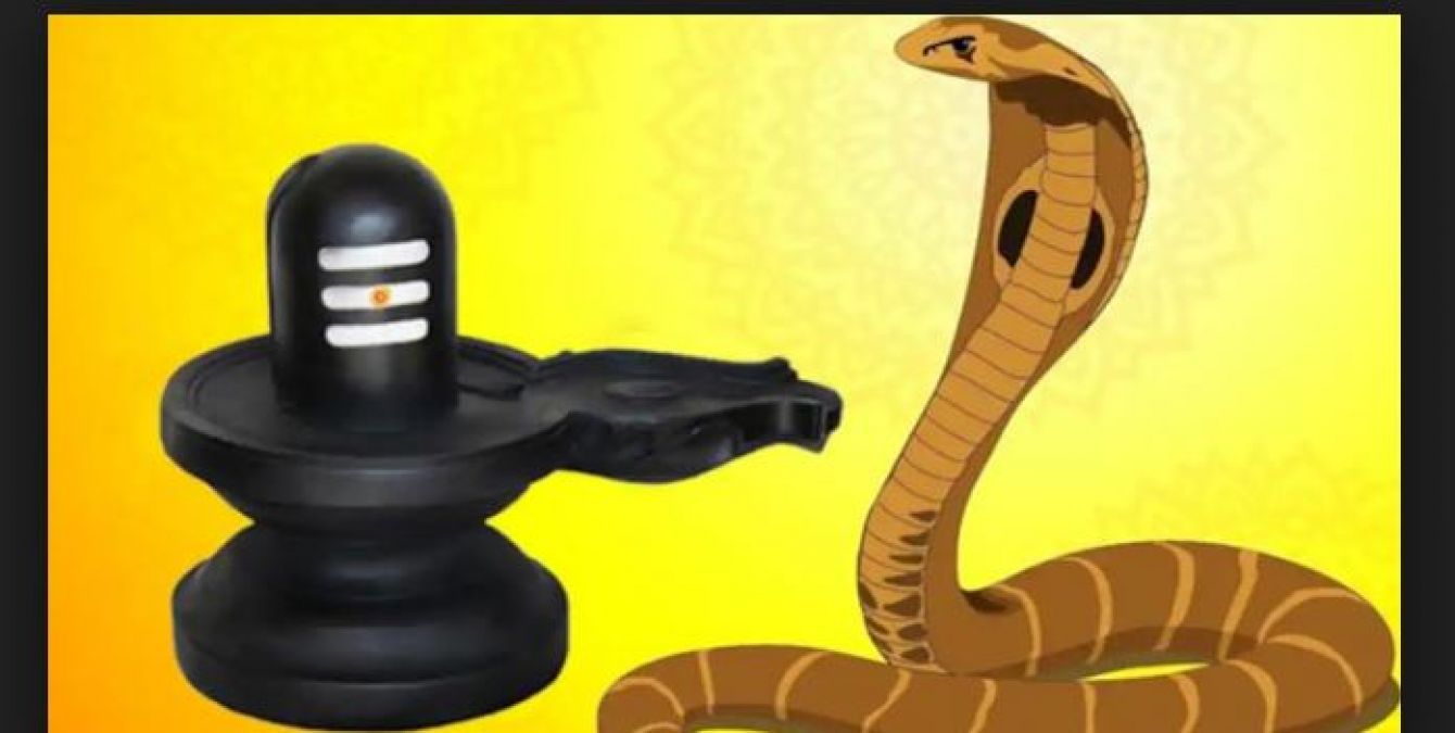 If you want to be rich, then do this on Nagpanchami