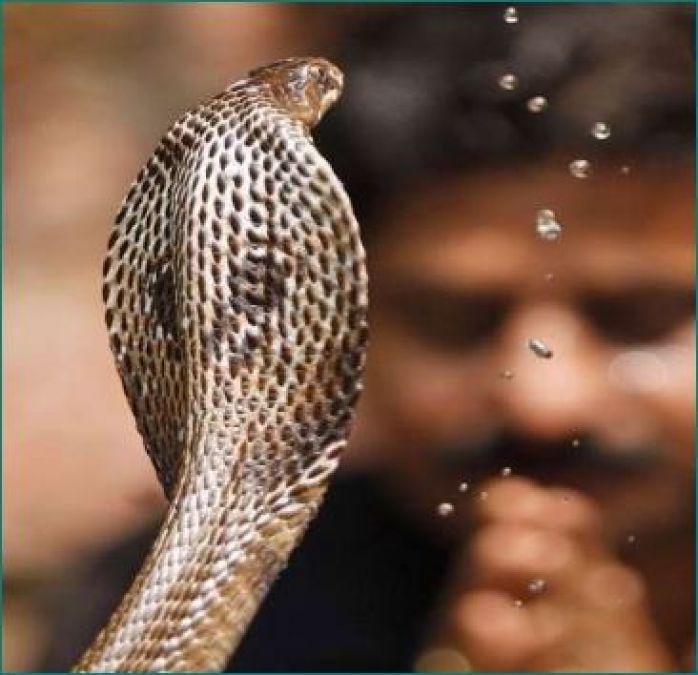 आज है नाग पंचमी, यहाँ जानिए शुभ-मुहूर्त और उपाय