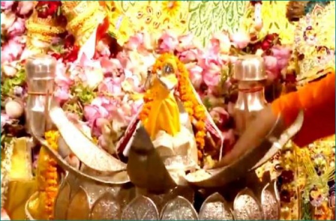 Janmashtami: Everything shuddered as soon as conch shell was sounded in Mathura, watch the video