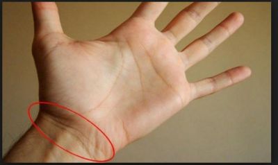 आपके हाथ की रेखा बता सकती है आपकी पहली संतान लड़का है या लड़की