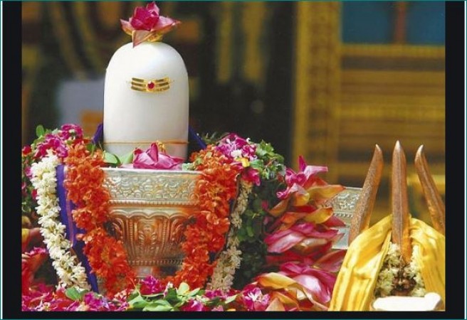 Do this remedy on Mahashivaratri to get success in life