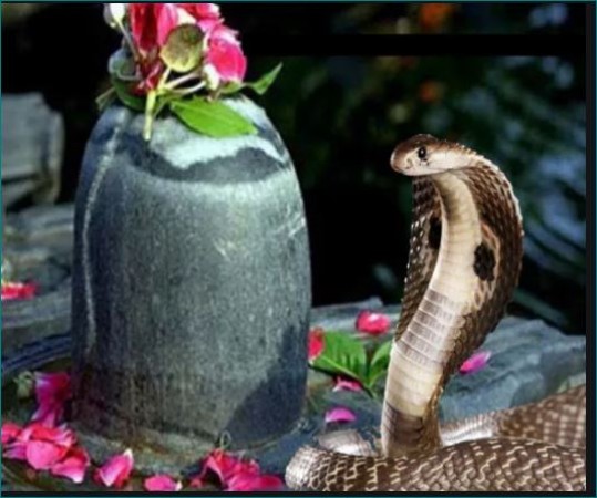 When and why Nag Panchami is celebrated, Know here