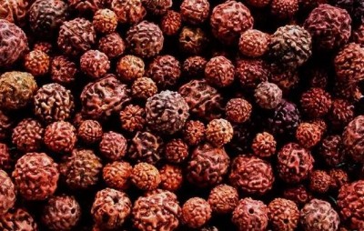 How to Check the Difference Between Real and Fake Rudraksha