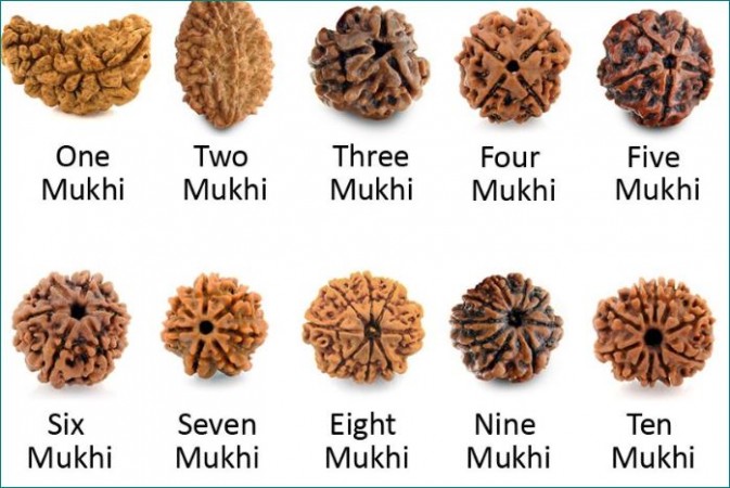 Know about different types of Rudraksha and their benefits