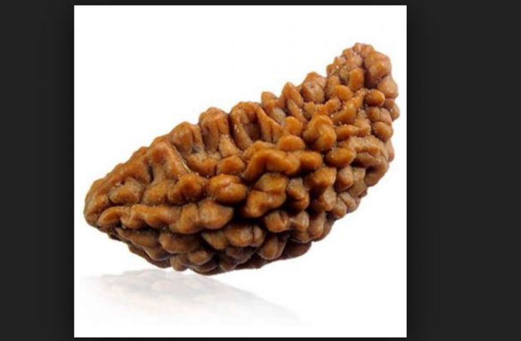 To get the blessings of Shiva, just hold it today Monotrovert Rudraksha