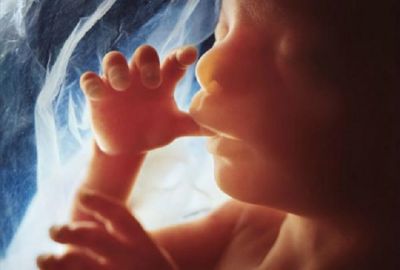 गर्भ में पल रहा बच्चा लड़का है या लड़की जानें कुछ इस तरह से