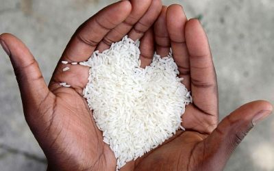 जीवन से दरिद्रता को हमेशा के लिए ख़त्म करता है चावल