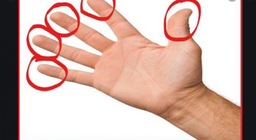 Palmistry: If conch is made in 10 fingers of your hand then definitely read this news