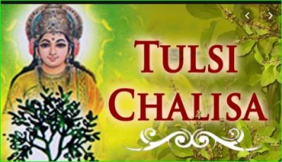 Read Tulsi Chalisa on Devoutni Ekadashi
