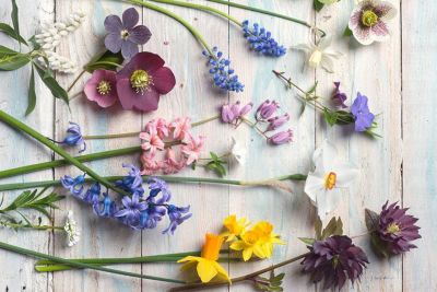 फेंगशुई टिप्स: फूलों से घर सजाने के लिए ध्यान रखे यह बातें