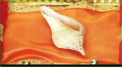 Worship Conch on the day of Diwali and Dhanteras