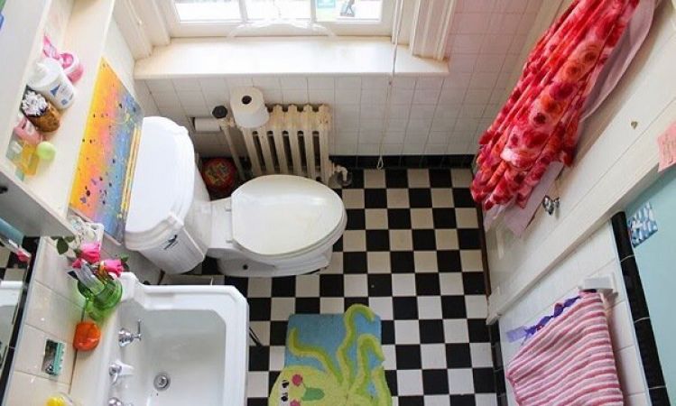 घर में बना टॉयलेट, घर में आ रही परेशानी का कारण भी हो सकता है