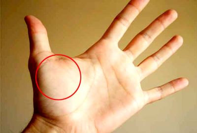 Mount Venus on your palm speaks a lot about you, Know more