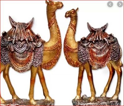 If you also have money problems then bring home two pairs of camels with a hunchback