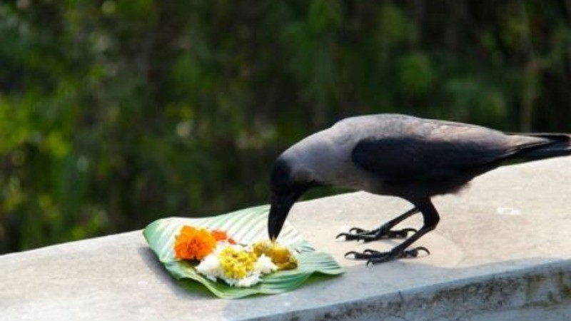 सर्वपितृ अमावस्या पर राशिनुसार अपनाएं ये उपाय, पूरी होगी हर मनोकामना