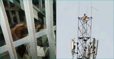 Drunk climbed mobile tower, died