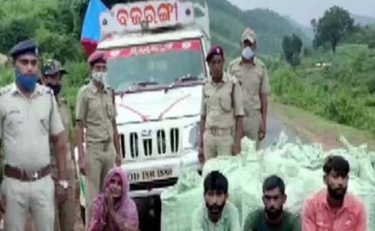 ओडिशा में डेढ़ करोड़ का गांजा जब्त, 7 महिलाओं सहित 26 गिरफ्तार